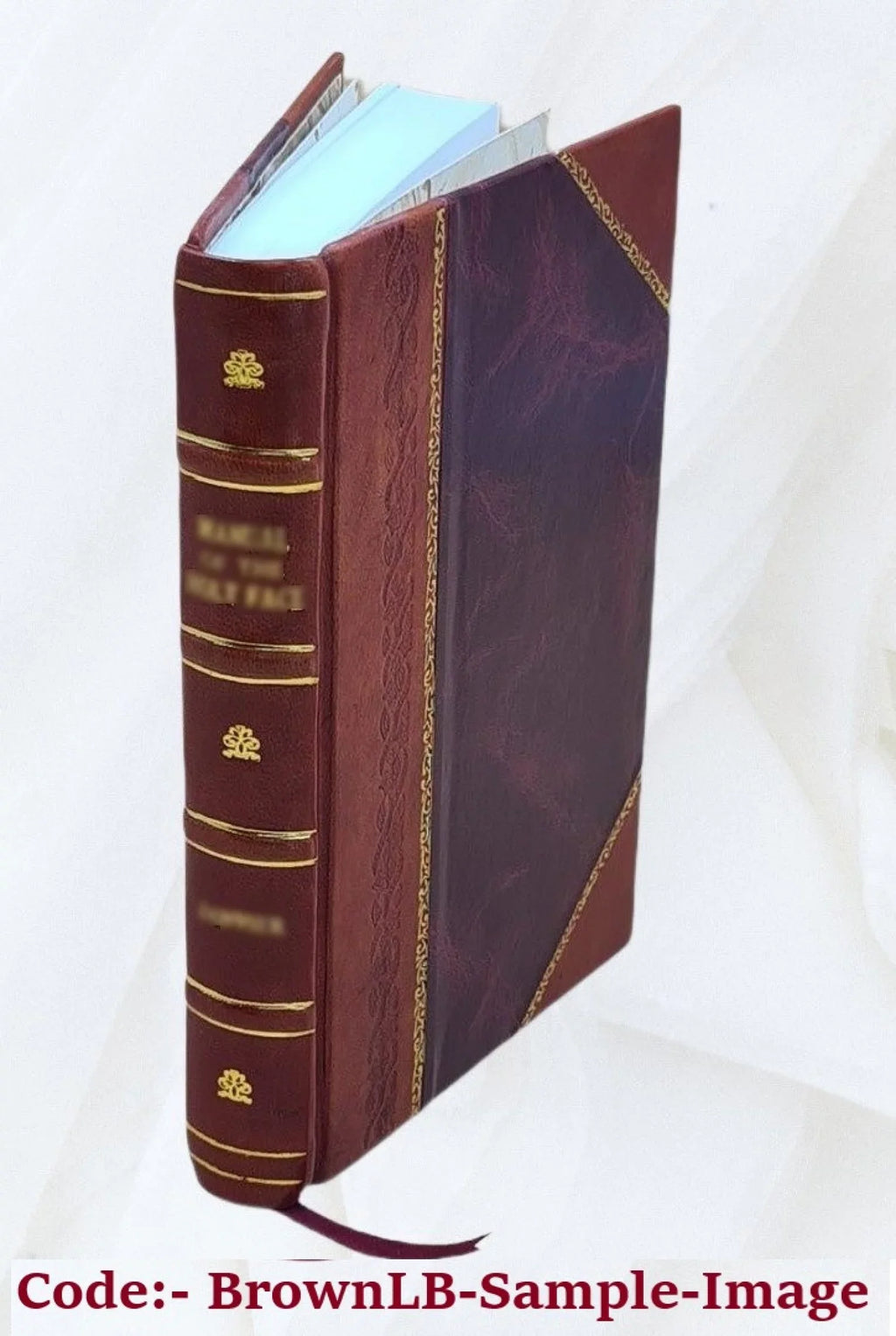 Maphaei S.R.E card. Barberini nunc Vrbani PP. 8. Poemata 1635 [Leather Bound]