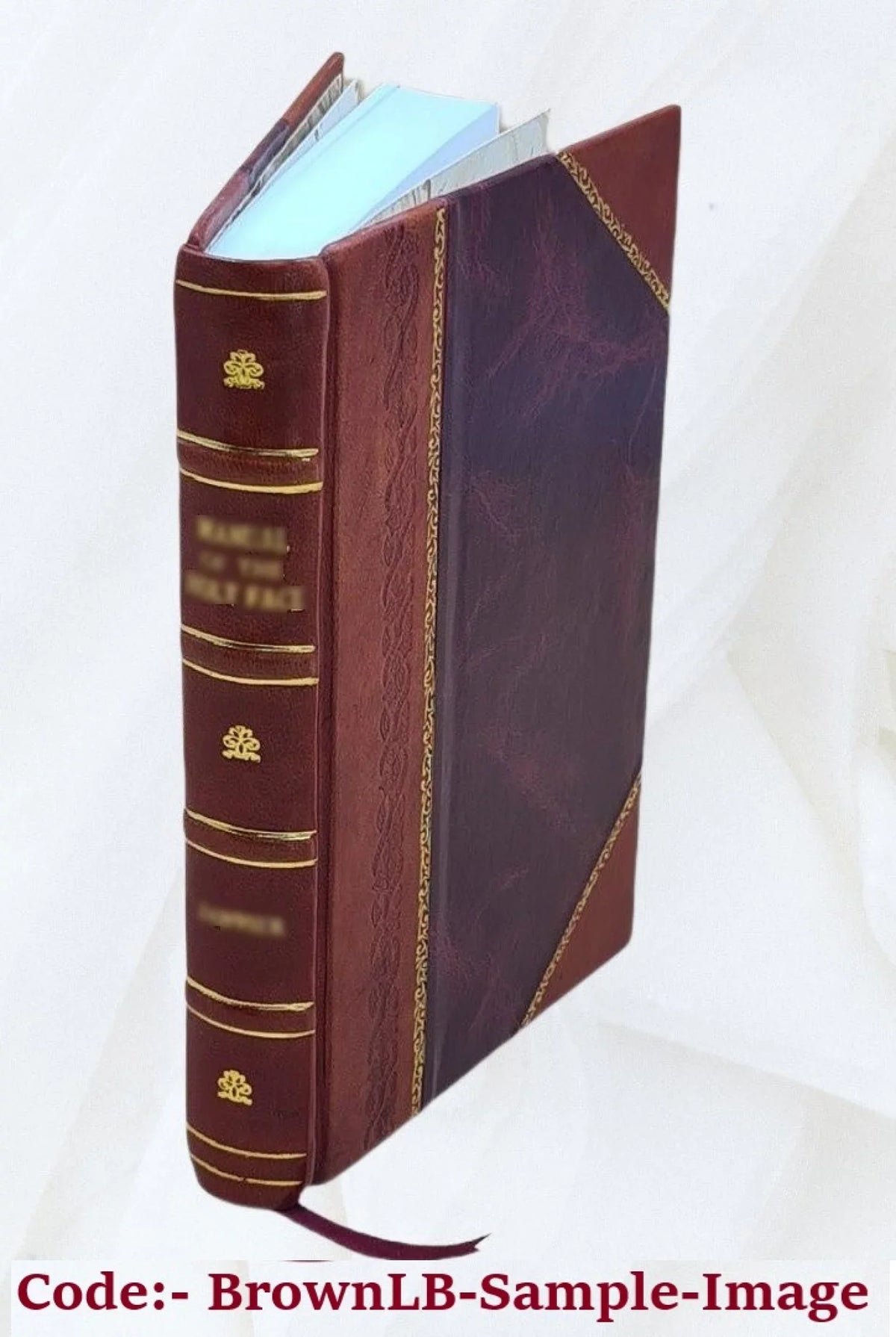 Maphaei S.R.E card. Barberini nunc Vrbani PP. 8. Poemata 1635 [Leather Bound]