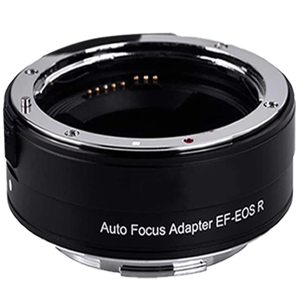 EOS R5 Mirrorless Camera with RF24-105mm + 75-300mm Lens + Mount Adapter + SanDisk 128GB + ZeeTech Accessory