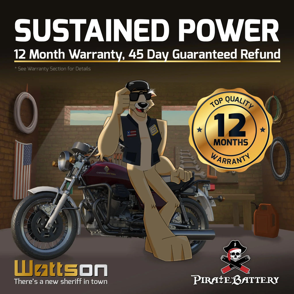 Pirate Battery YTX14-BS (14-BS 12 Volt,12 Ah, 200 CCA) Motorcycle Battery for Honda 1100cc Vt1100c, C3, T Shadow (spirit, Aero, A. C. E. Tourer) 2007