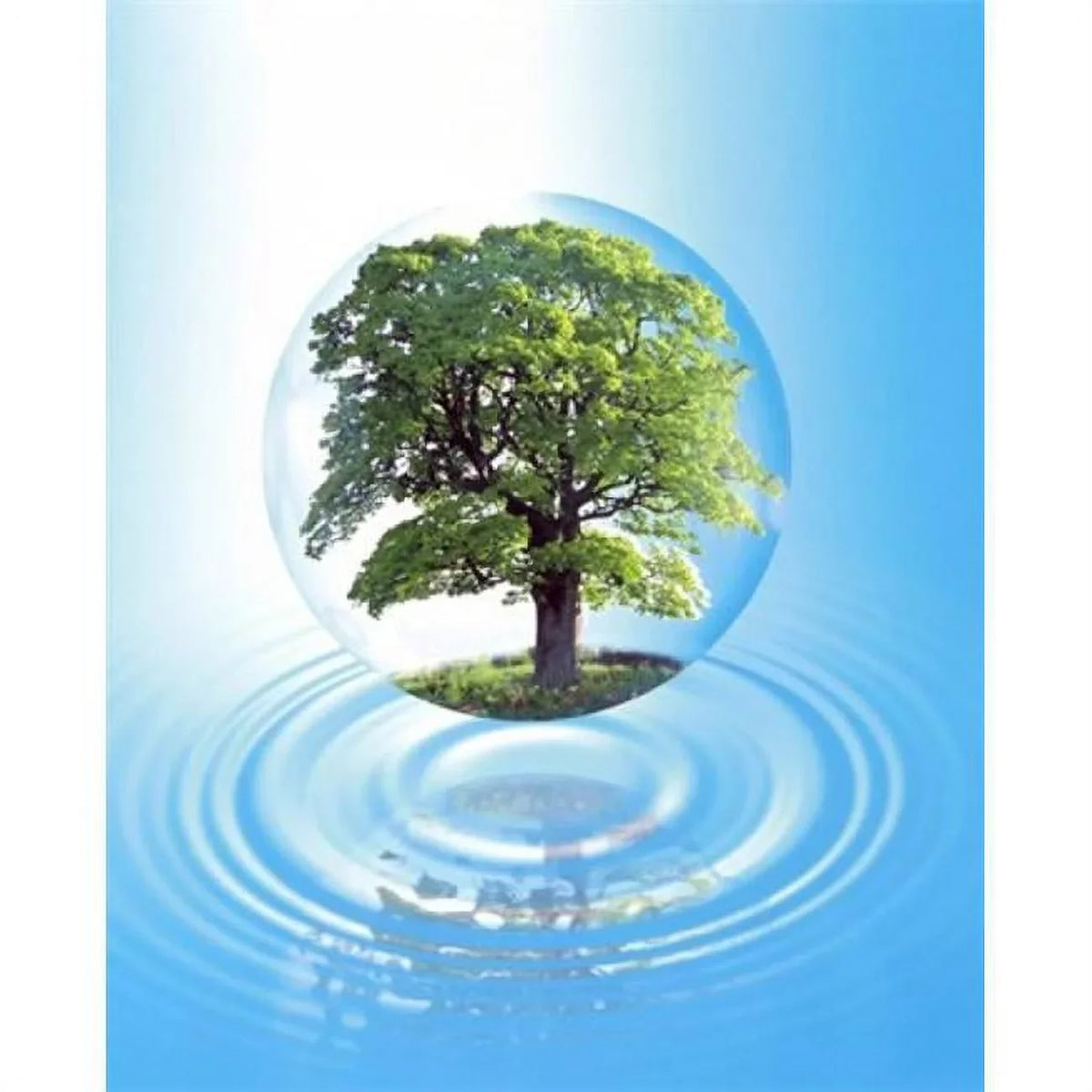 A clear sphere with a full tree floats over a large Liquid ring with reflection Poster Print by - 20 x 24